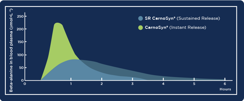 Graph showing how long CarnoSyn stays in the body
