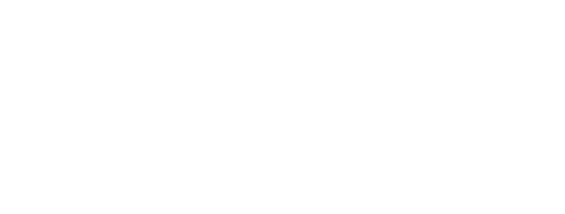 The Mechanism of Action Behind SR CarnoSyn®